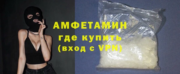 мдпв Каменка