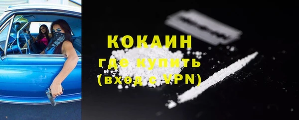мдпв Каменка