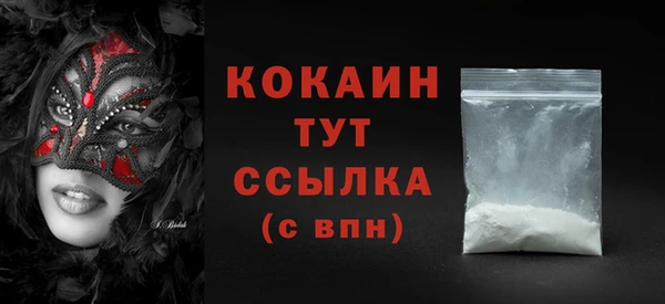 мдпв Каменка