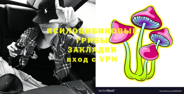 мдпв Каменка