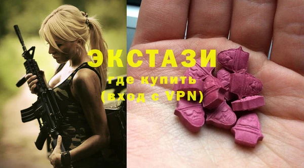 мдпв Каменка