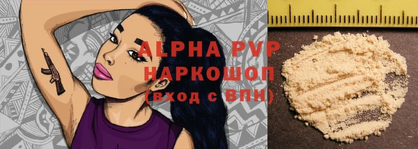 мдпв Каменка