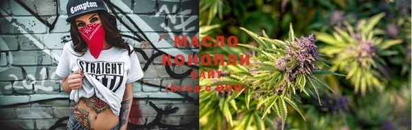 мдпв Каменка