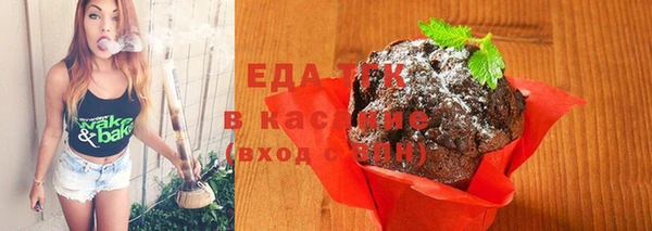 мдпв Каменка