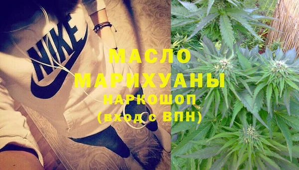 мдпв Каменка